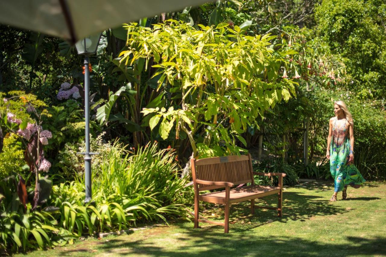Last Word Constantia Le Cap Extérieur photo